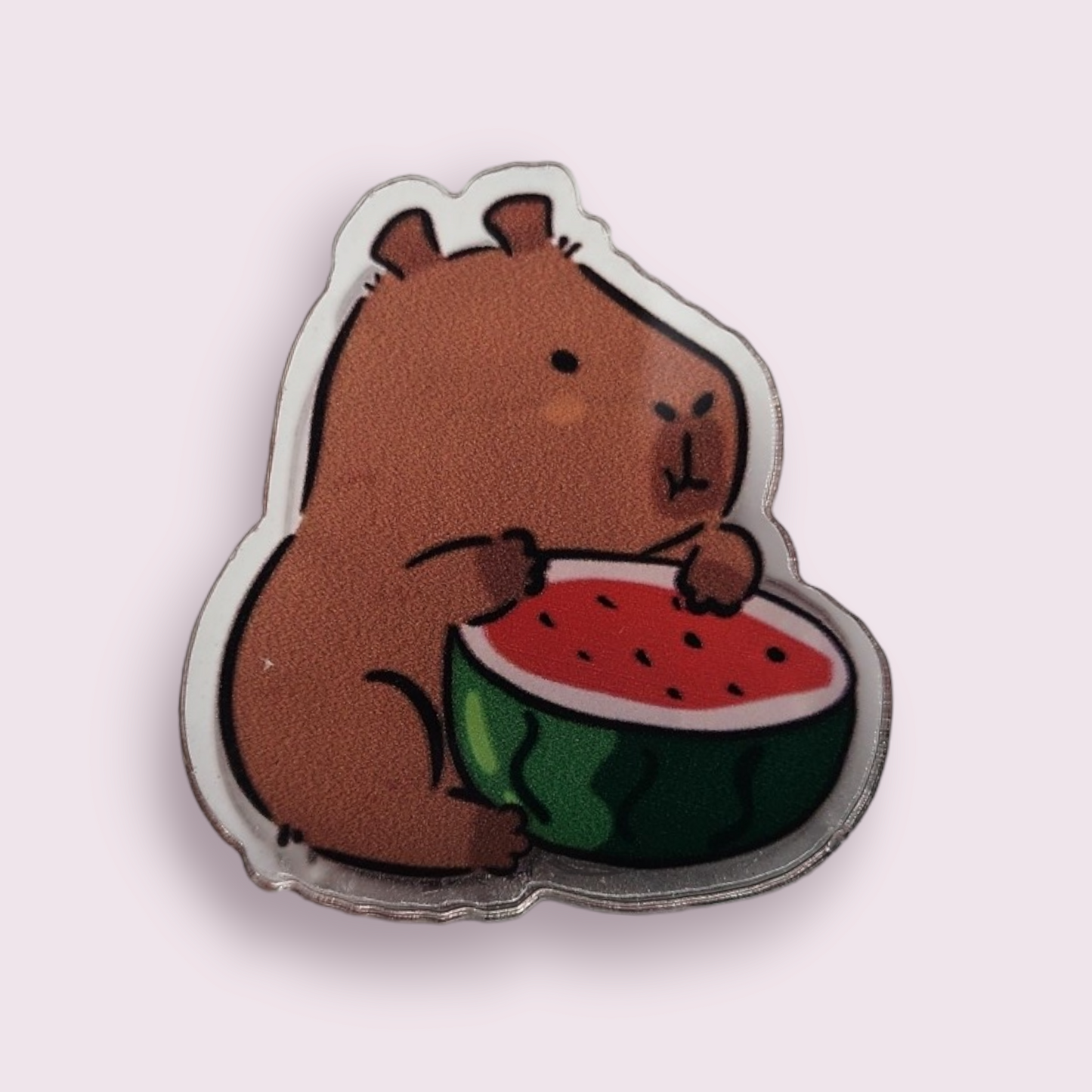 Capybara Watermelon Paper Clip