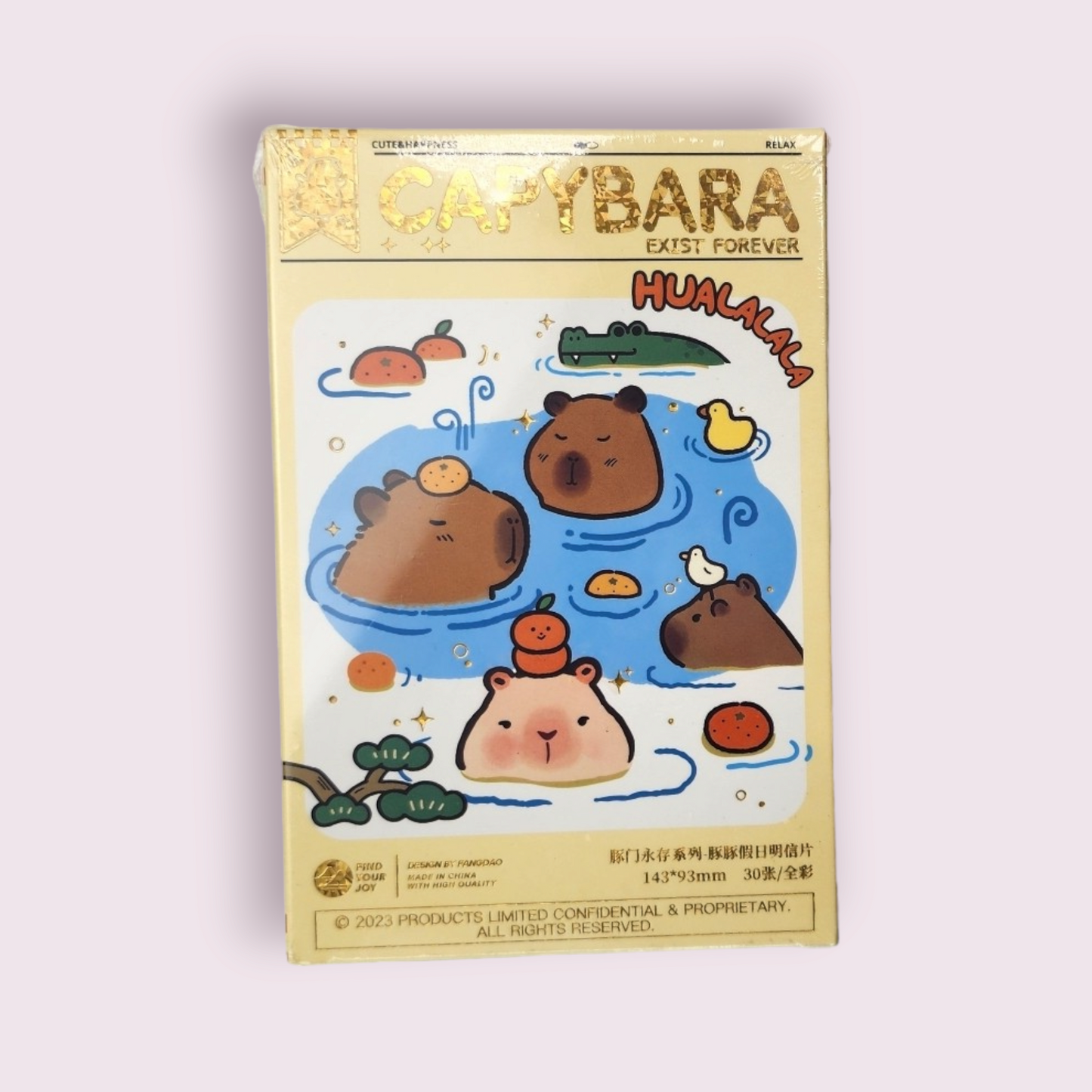 30pcs Capybara Postcard Set